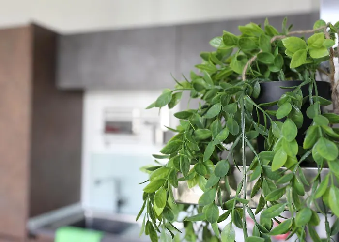 -residenz Josephine- Atemberaubender Rheinblick Bis Zum Deutschen Eck Apartamento Coblenza